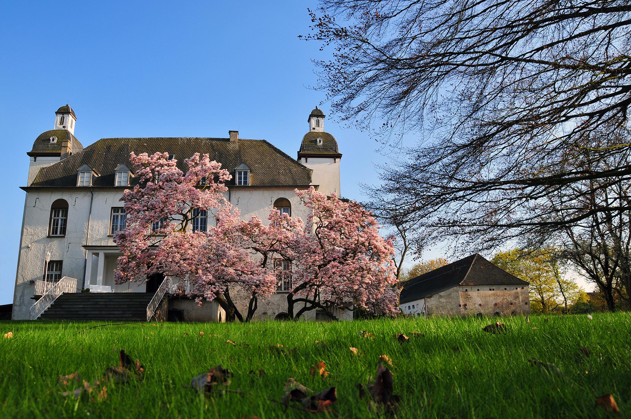 presseLauersfortSchloss